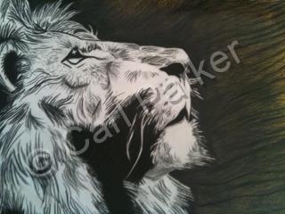 Wildlife - Thoughts Of A King Lion - Colored Pencil