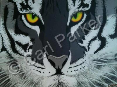 Wildlife - Cats Eye - Colored Pencil