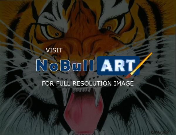 Wildlife - Nice Kitty Tiger - Colored Pencil