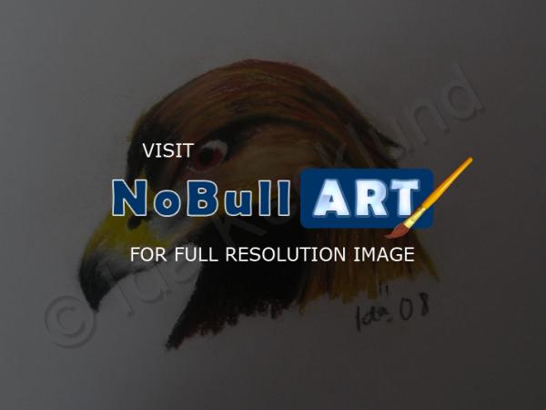 Animals - Eagle - Soft Pastels