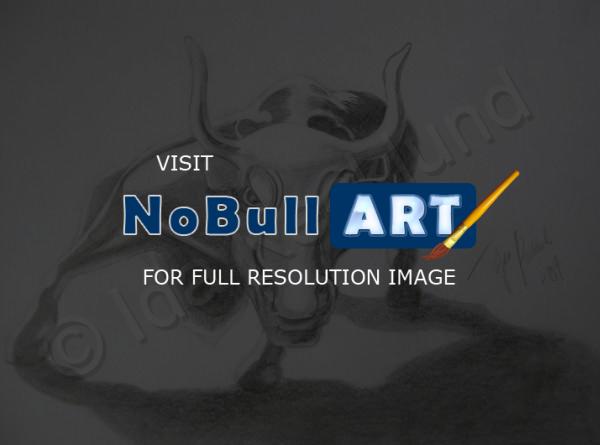 Animals - Bull - Graphite