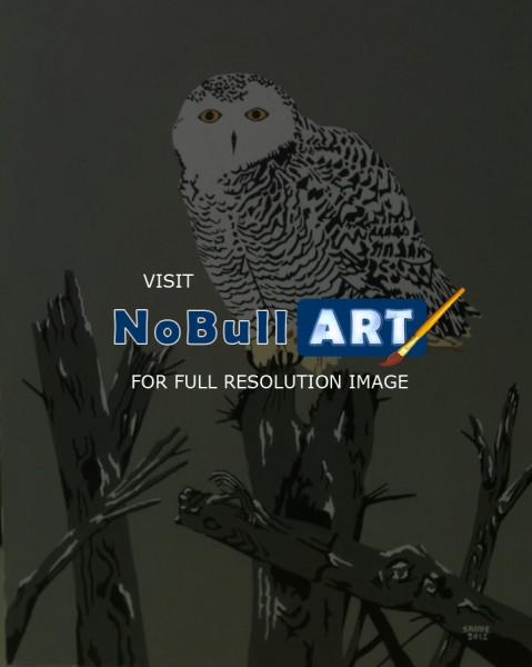 Birds - White Owl - Acrylic