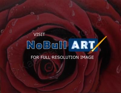 Floral - The Rose - Oil