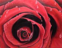 The Rose - Oil Paintings - By Kathleen Zinkovitch, Impressionist Painting Artist