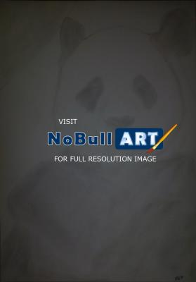 Poor Pencil Attempts - Panda Attempt - Photographs And Pencils