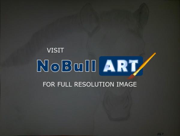 Poor Pencil Attempts - Foal Attempt - Photographs And Pencils