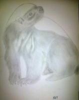 African Honey Badger Attempt - Photographs And Pencils Drawings - By Gideon-Aaron Thompson, Pencil Copyist Drawing Artist