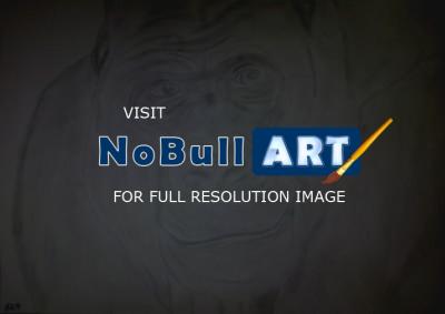 Poor Pencil Attempts - Silverback Gorilla Attempt - Photographs And Pencils