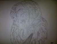 Poor Pencil Attempts - Owl Attempt 3Rd Species - Photographs And Pencils