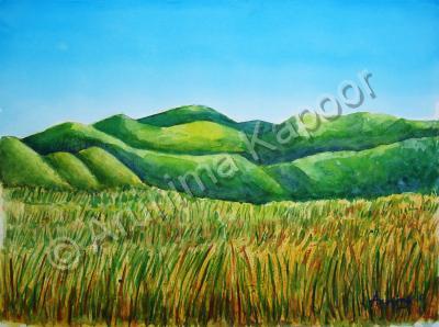 Landscape - Grass Field - Watercolour On Fabriano Sheet