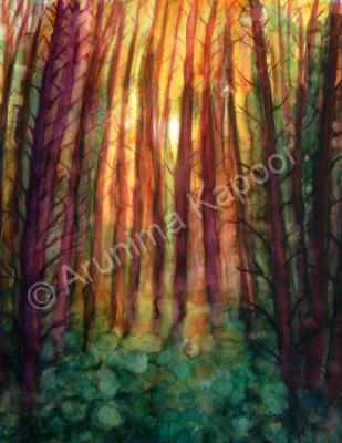 Landscape - Sunset In A Forest - Watercolour On Paper