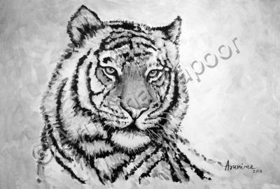 Wild Life - Bengal Tiger - Acrylic On Paper