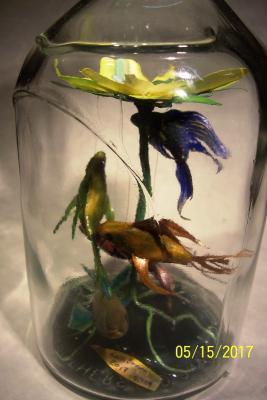 Bottle Whimsy - 5 Fish Under A Lily - Multi Medium