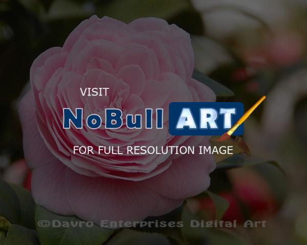 Floral - Camellia1 - Digital