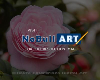 Floral - Camellia1 - Digital