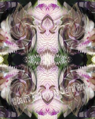 Abstract - Abstract Orchid - Digital