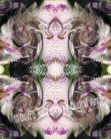 Abstract Orchid - Digital Digital - By Carol Miller, Abstract Digital Artist