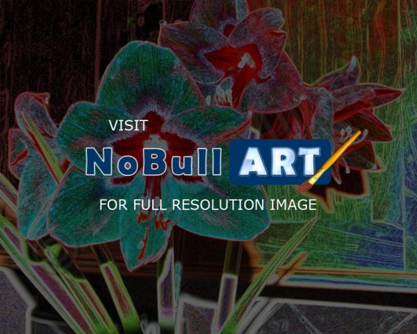 Abstract - Amaryllis - Digital