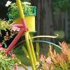 Flowered Cycle - Digital Photography - By Carol Miller, Floral Photo Photography Artist