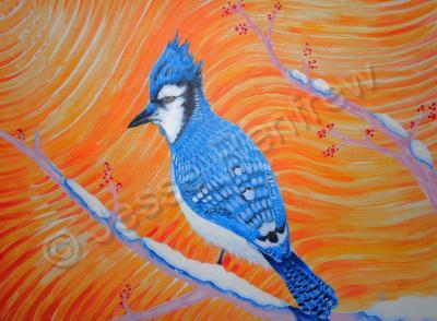 Other Wildlife - Bluejay 2016 - Acrylic