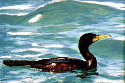 Colors - Cormorant - Mixed Media