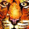 Scribberler Tiger - Digital Mixed Drawings - By Patricia Anne Mccarty, Nature Drawing Artist