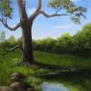 Untitled - Oil Paintings - By Jay Moncrief, Landscape Painting Artist