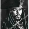 Captain Jack Sparrow Orignal Drawing - Graphite  Charcoal Drawings - By Dian Vandervolgen, Realism Drawing Artist