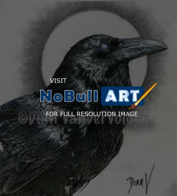 Wildlife - Raven  Moon - Graphite  Charcoal
