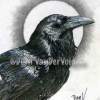 Raven  Moon - Graphite  Charcoal Drawings - By Dian Vandervolgen, Realism Drawing Artist