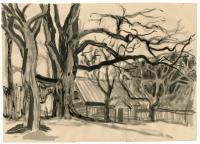 Landscape - Old Tree - Ink  Brown Paper