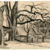 Old Tree - Ink  Brown Paper Drawings - By Inga Karelina, Realism Drawing Artist
