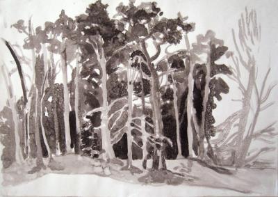 Landscape - Pine-Trees - Ink On Paper