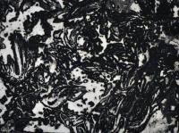Birds 2012 - Etching Printmaking - By Charlotte Robins, Abstract Printmaking Artist