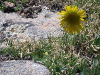 1 - Digital Photography - By Tina Polo, Nature Photography Artist
