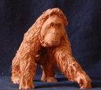 Young Orangutang - Photos Sculptures - By Istvan Lenard, Natural Sculpture Artist