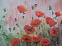 Watercolor - Red Poppies - Watercolor