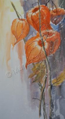 Watercolor - Dried Flowers - Watercolor