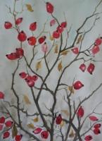 Watercolor - Rosehip - Watercolor