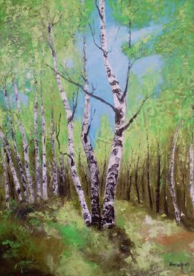 Trees - Spring Birches - Oil On Canvas