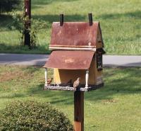 Birdhouses - Old Farmhouse Birdhouse  Feeder Backview - Wood And Paint