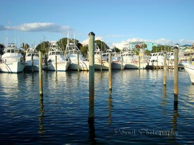 Fort Walton Beach 2009 - Docks - Digital Photography