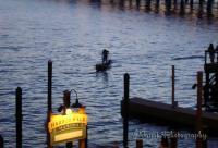 Fort Walton Beach 2009 - One Man - Digital Photography