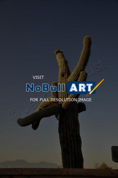 Arizona - Arizona - Digital Photography