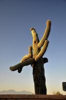 Arizona - Digital Photography Photography - By Jennifer Faust, Nature Photography Photography Artist