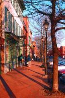 Baltimore-Fells Point - Thames Street With Tree - Giclee Print