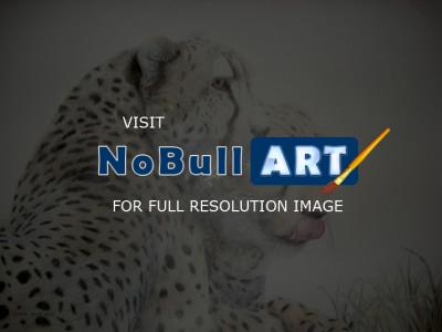 Wild Animals - 1 - Pencilpaper