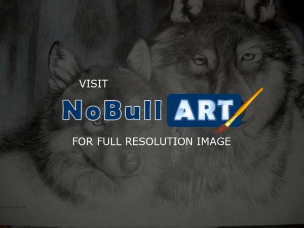 Wild Animals - 3 - Pencilpaper