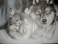 3 - Pencilpaper Drawings - By Iuliana Sava, Drawings Colored Pencil Drawing Artist