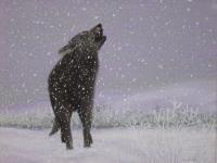 Wildlife - Lonesome In The Snow - Pastel